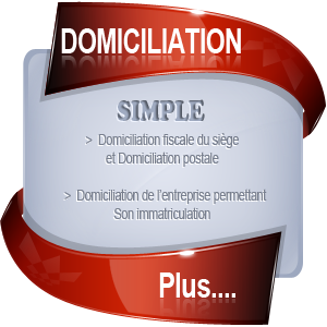 domi.png
