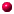 puces rond010